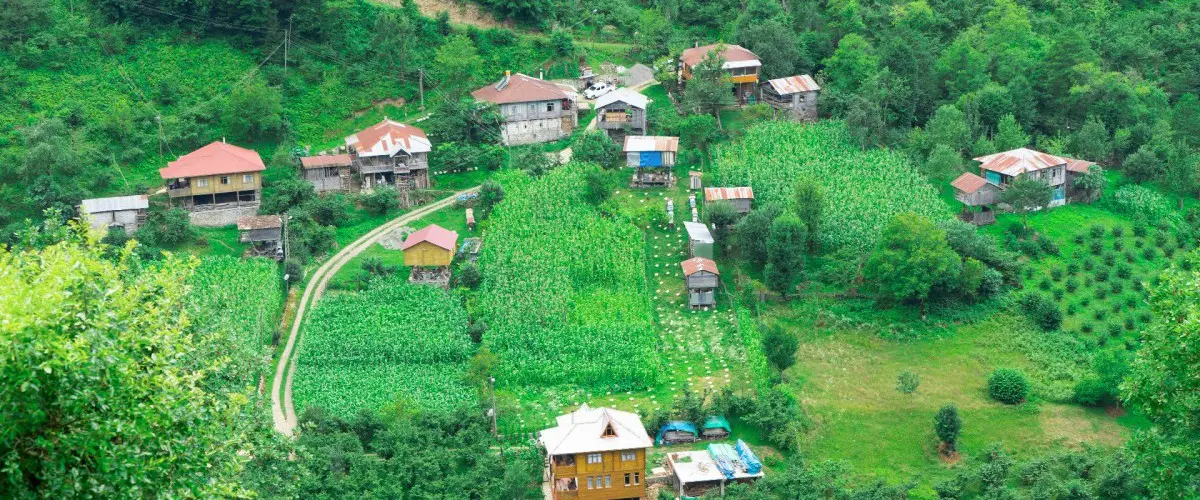 Artvin