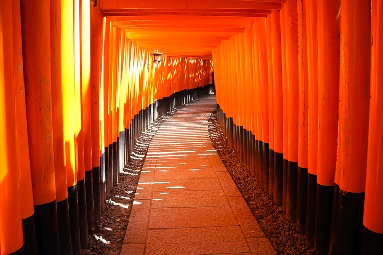 Fushimi Inari Tapınağı