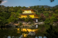 Kinkakuji Tapınağı