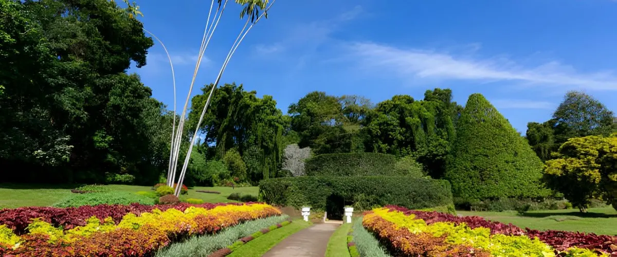 Kraliyet Botanik Bahçeleri