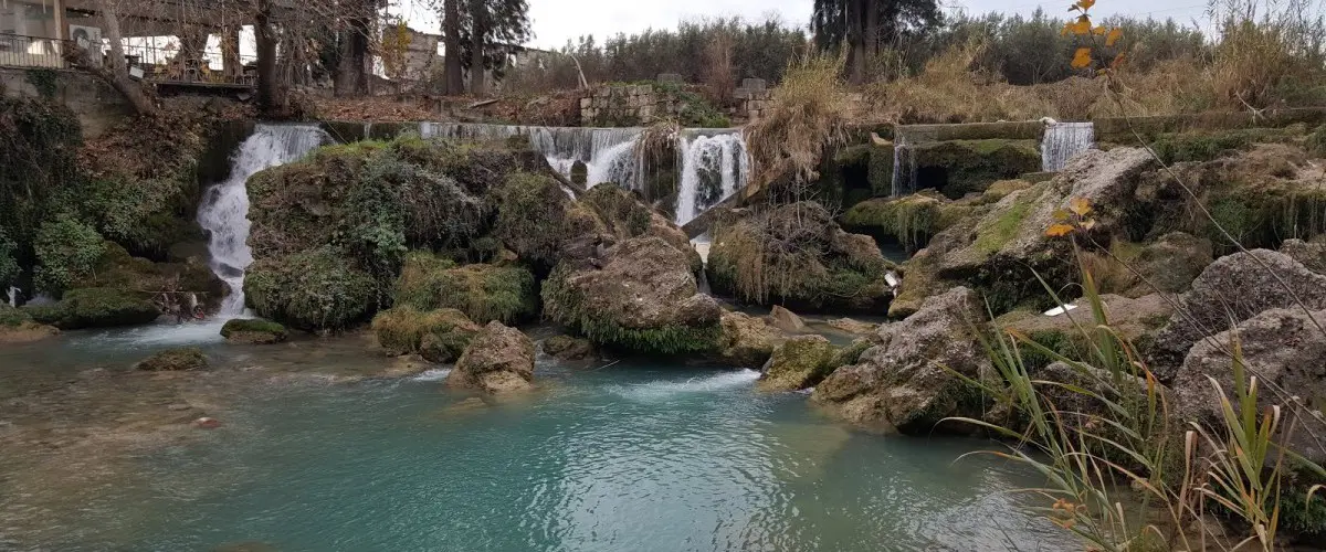Tarsus