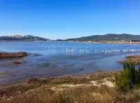 Bodrum Tuzla Kuş Cenneti