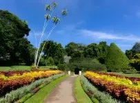 Kraliyet Botanik Bahçeleri