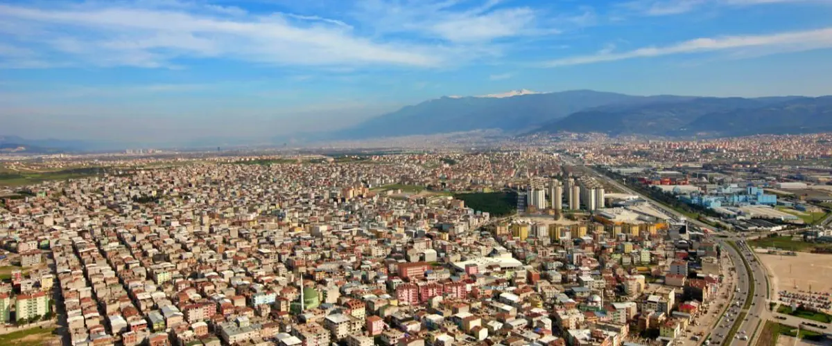 Bursa