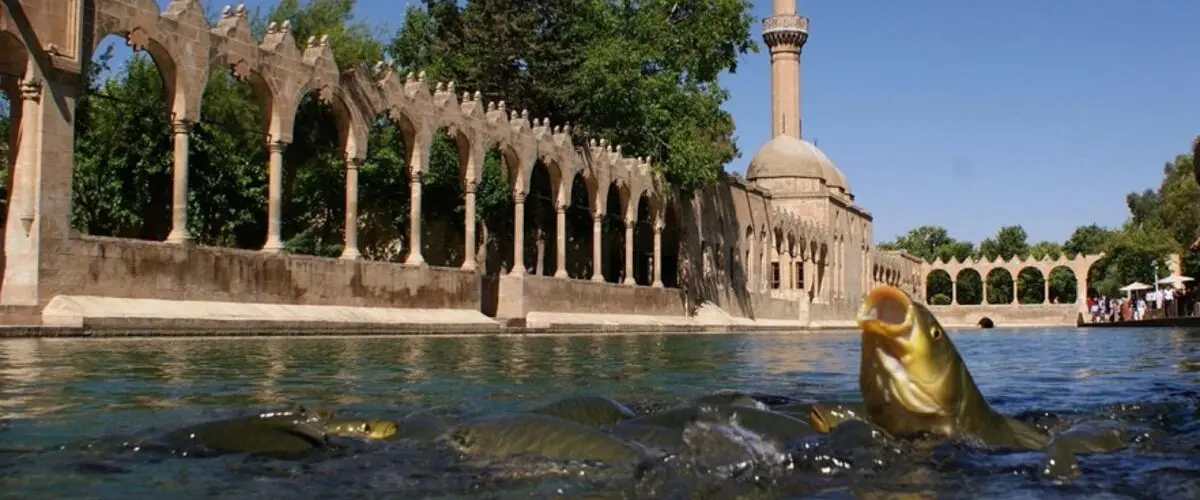 Balıklıgöl