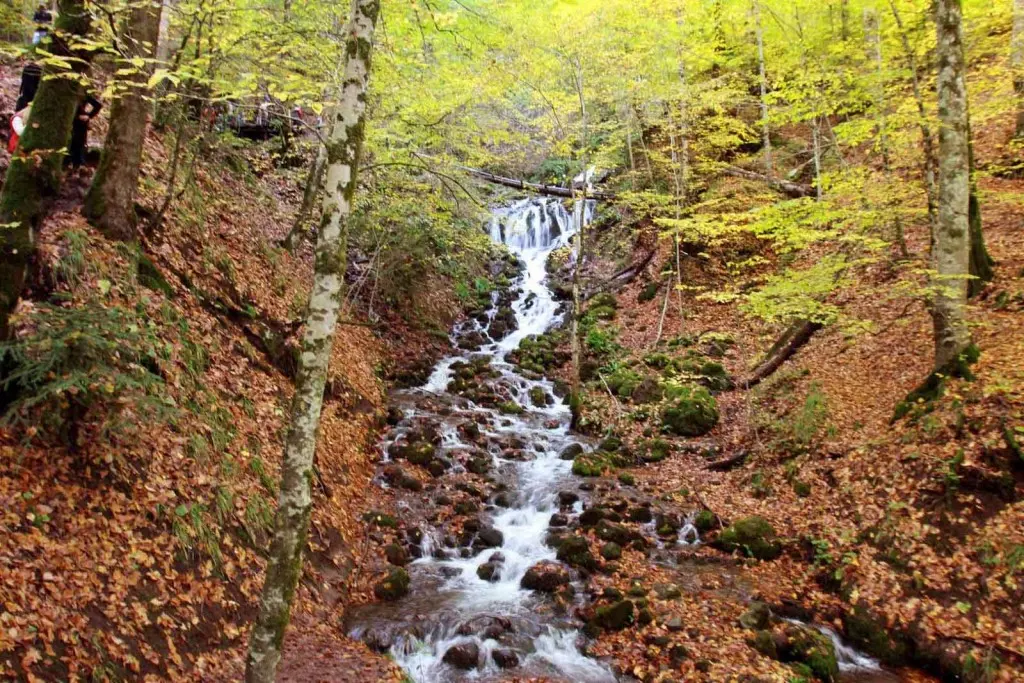Yedigöller Renk Cümbüşü Turu
