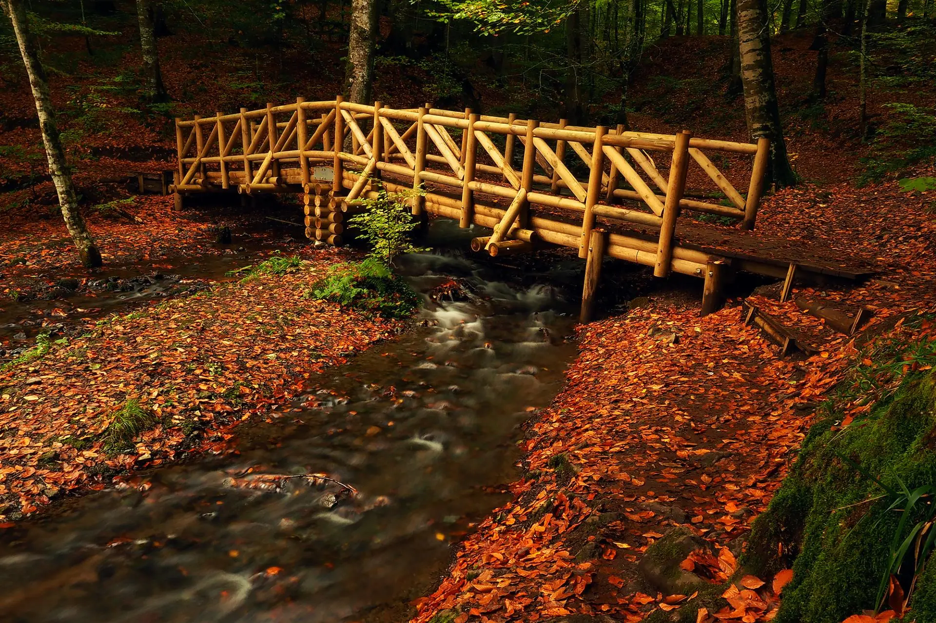 Yedigöller Renk Cümbüşü Turu