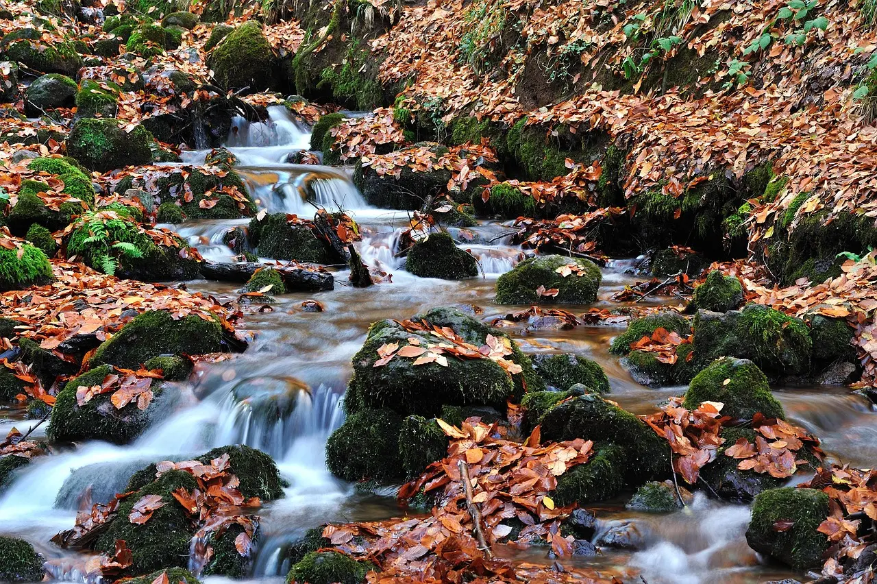 Yedigöller Renk Cümbüşü Turu
