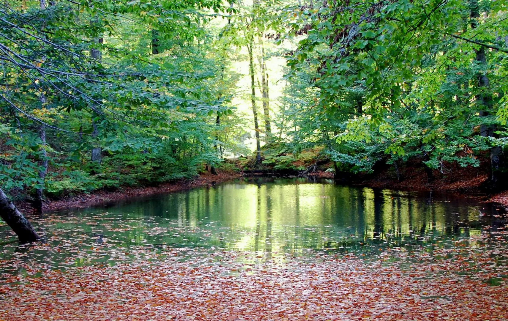 Yedigöller Renk Cümbüşü Turu