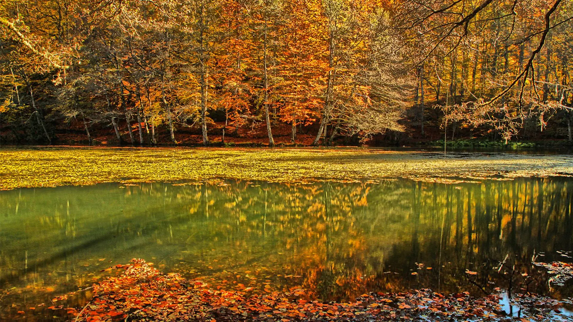 Yedigöller Renk Cümbüşü Turu
