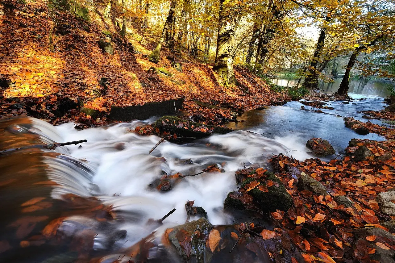 Yedigöller Renk Cümbüşü Turu
