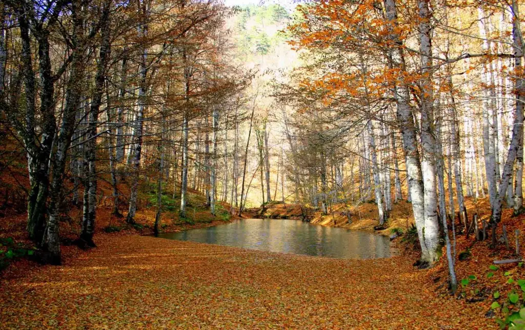 Yedigöller Renk Cümbüşü Turu