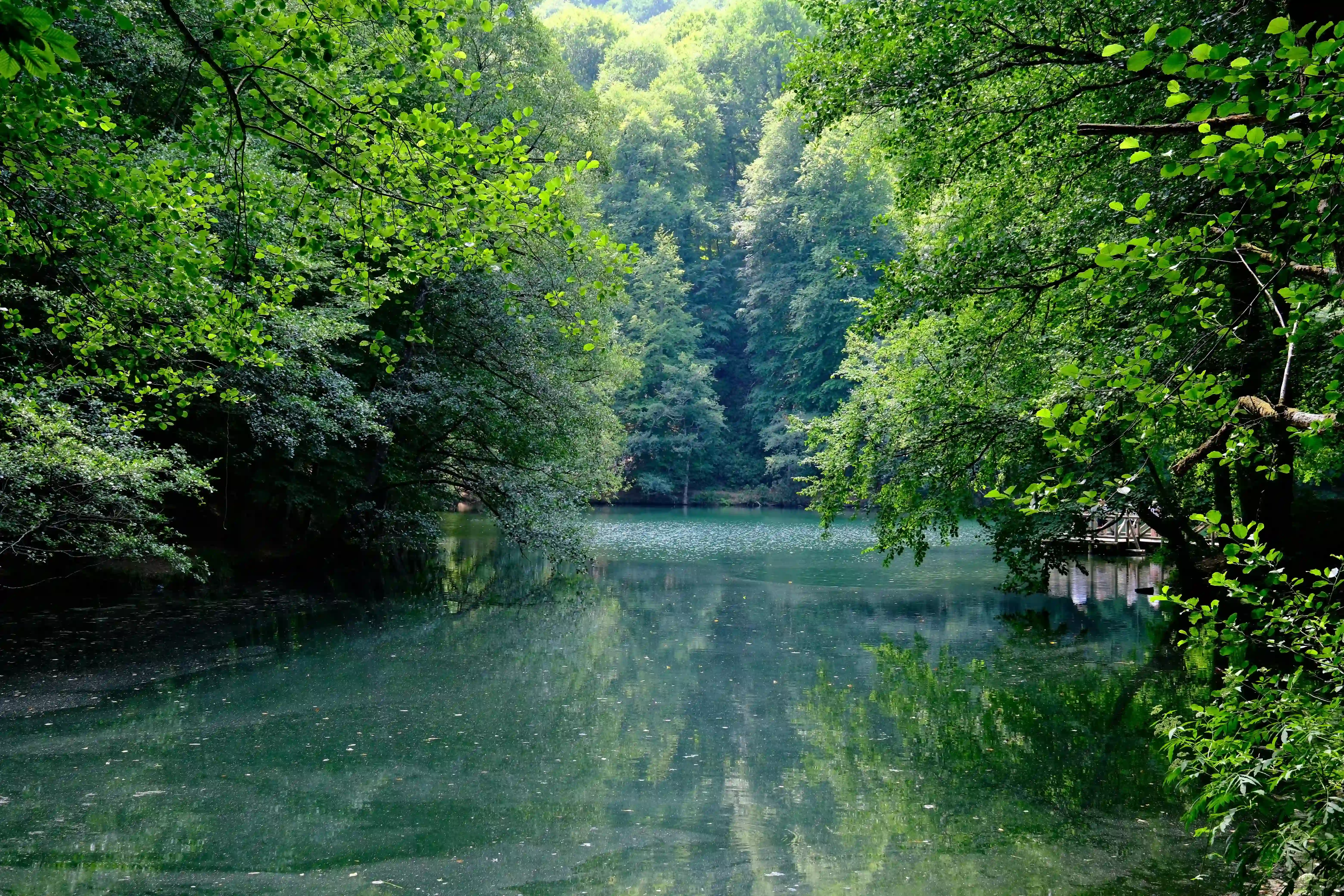 Yedigöller Renk Cümbüşü Turu