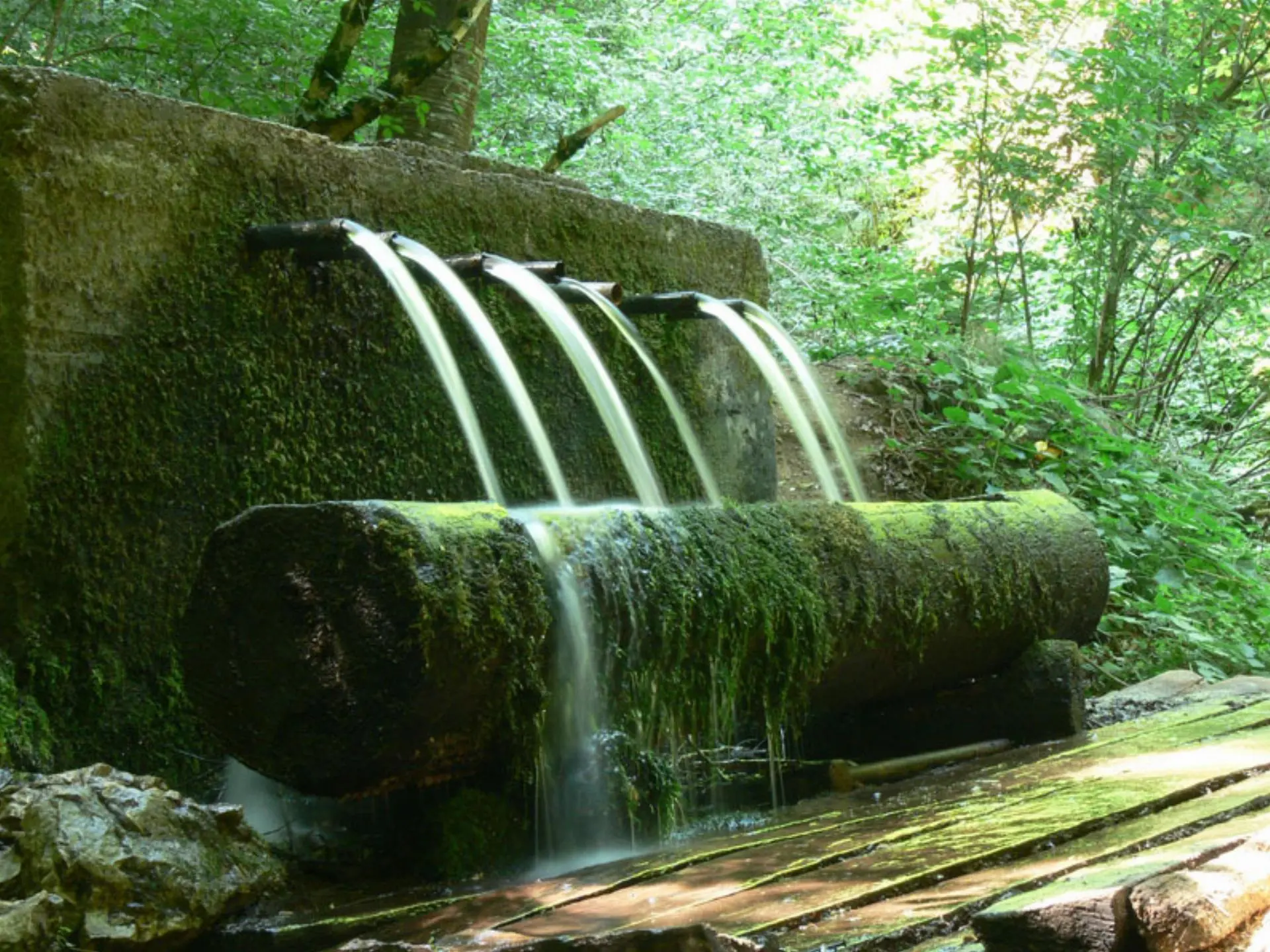 Yedigöller Renk Cümbüşü Turu