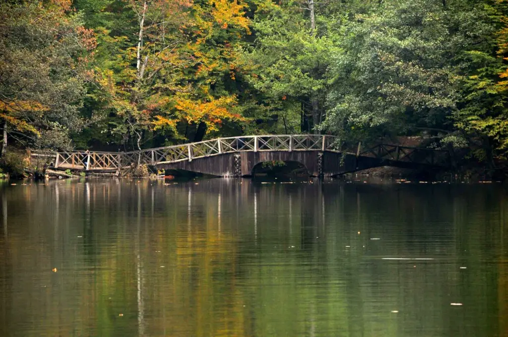 Yedigöller Renk Cümbüşü Turu