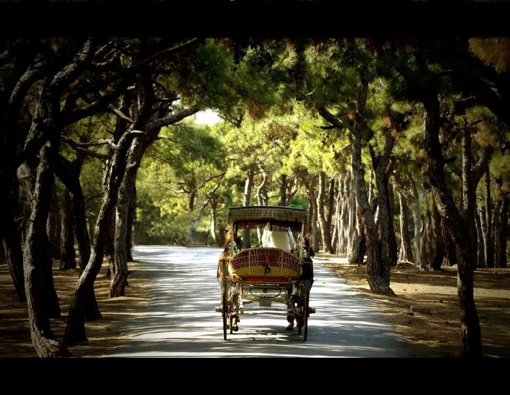 İstanbul Adalar Turu