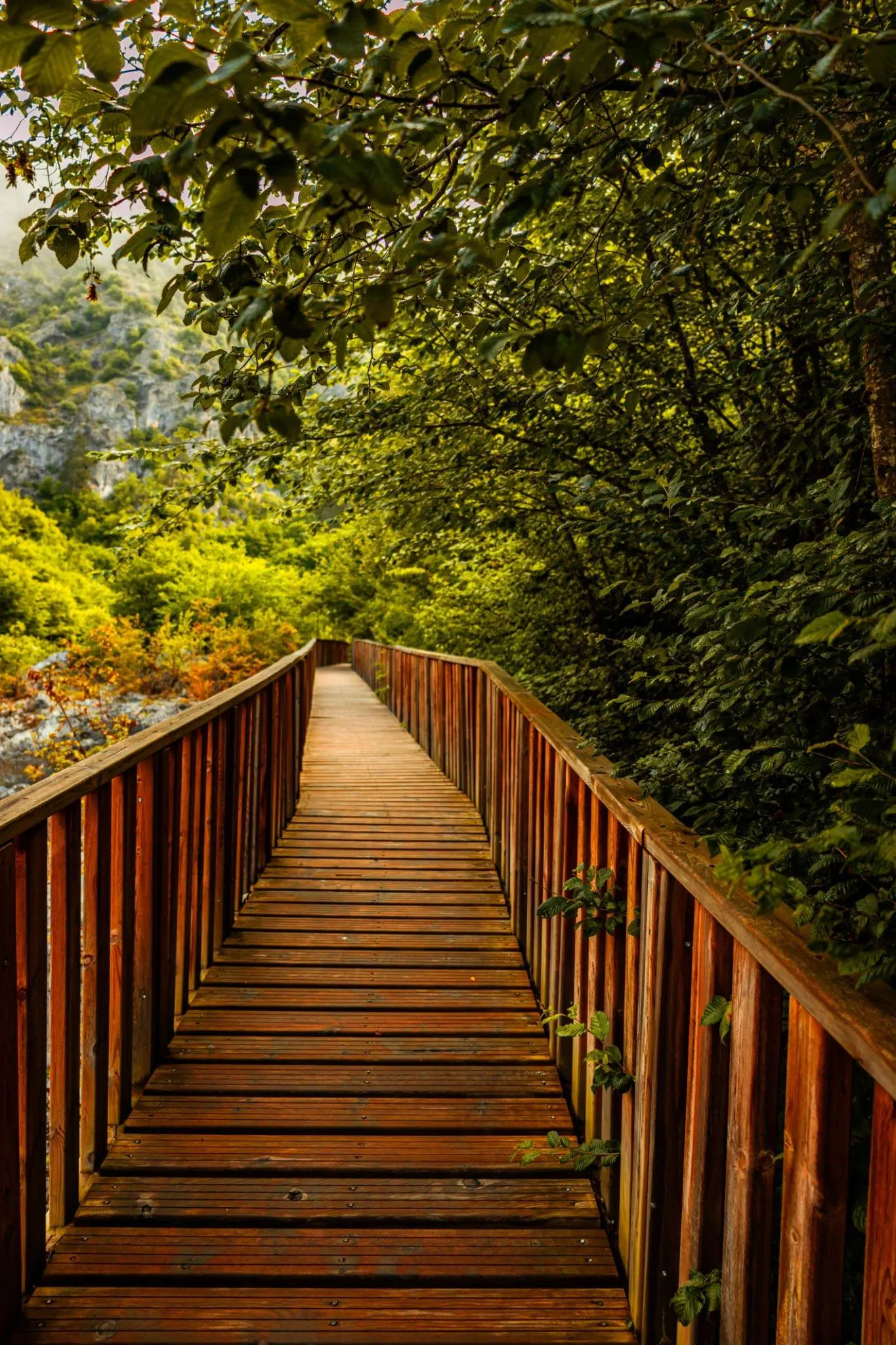 Çatak Kanyonu – Horma Kanyonu - Ilıca Şelalesi Turu