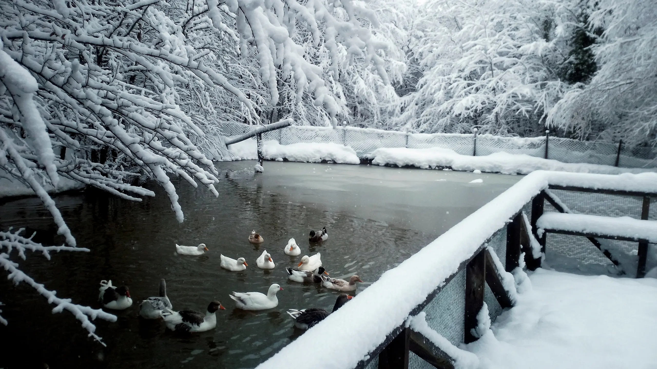 Yılbaşı Von Resort Abant Turu