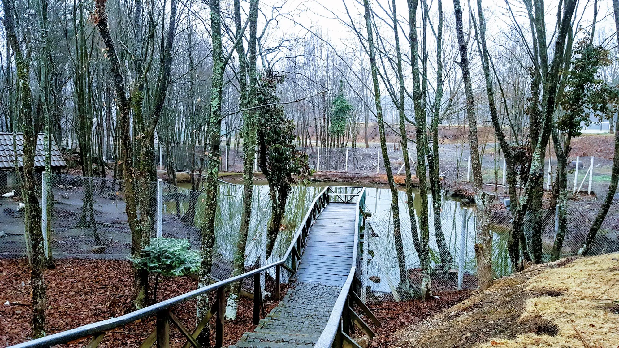 Yılbaşı Von Resort Abant Turu