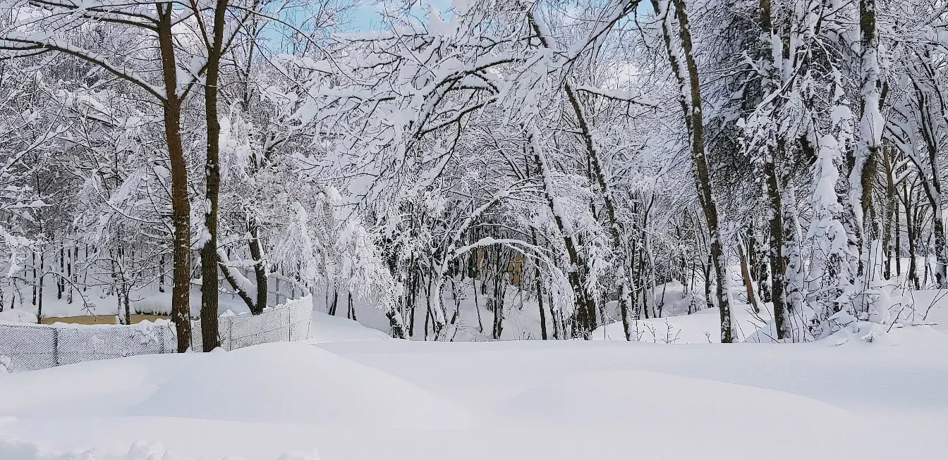 Yılbaşı Von Resort Abant Turu