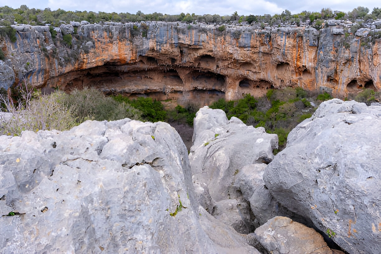 Adana - Mersin Lezzet Turu