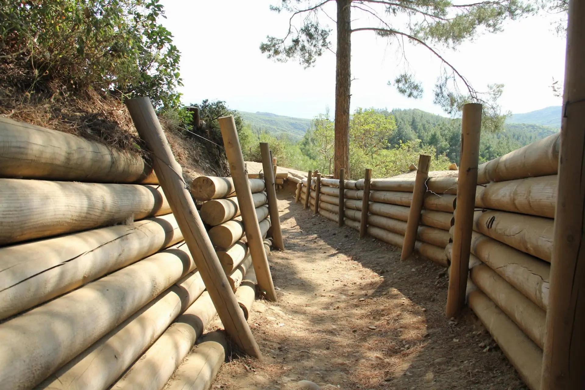 Çanakkale - Assos - Kazdağları - ŞehitlikTuru