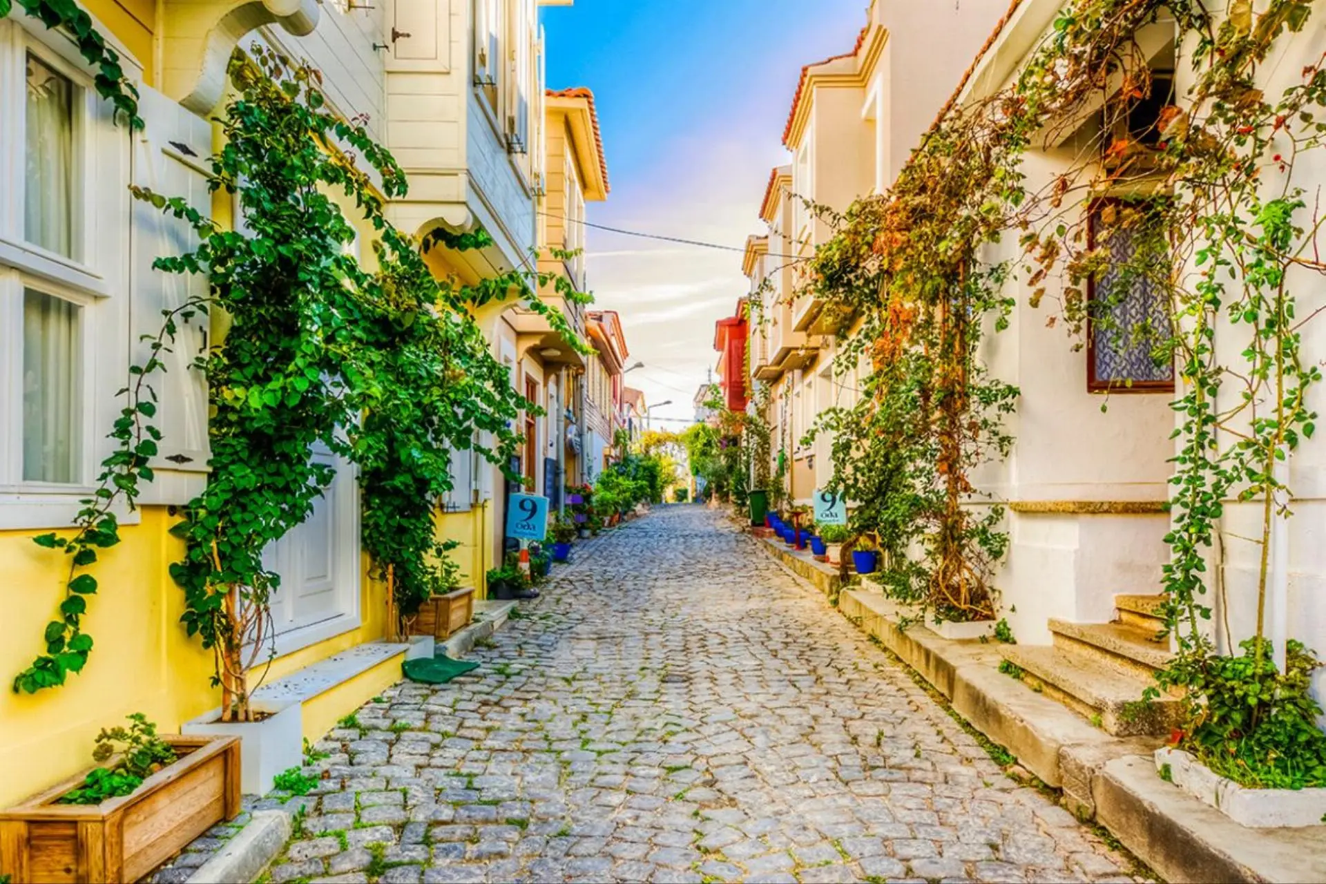 Çanakkale - Bozcaada - Assos - Kazdağları - Bağ Bozumu Turu