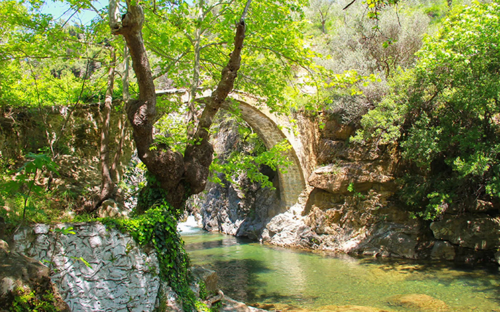 Çanakkale - Bozcaada - Assos - Kazdağları - Bağ Bozumu Turu