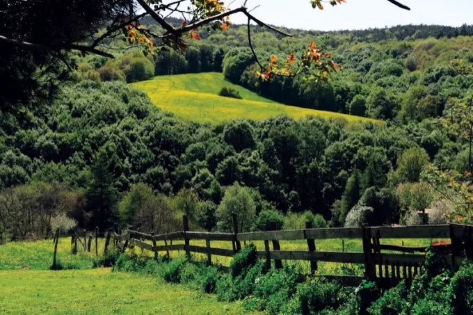 Şile - Ağva - İstanbul Adalar Turu