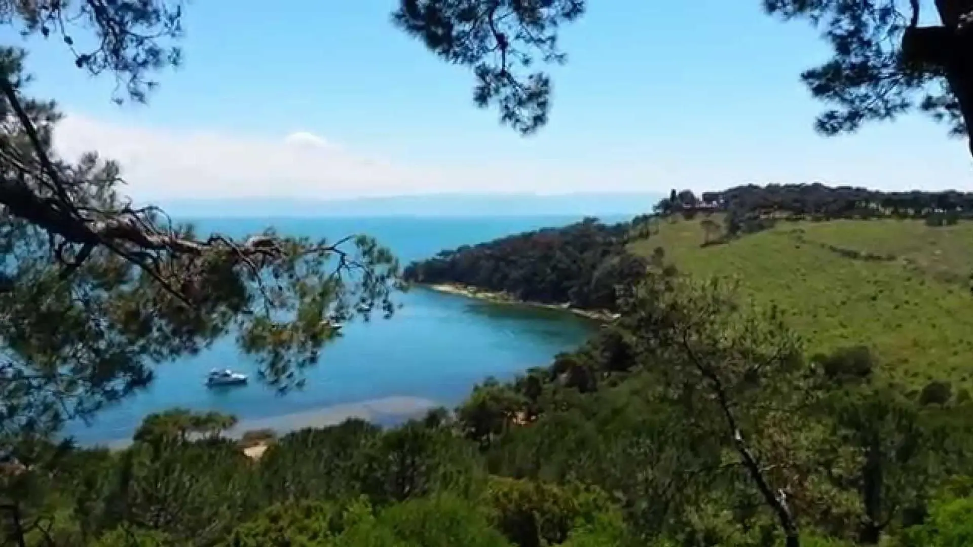 Şile - Ağva - İstanbul Adalar Turu