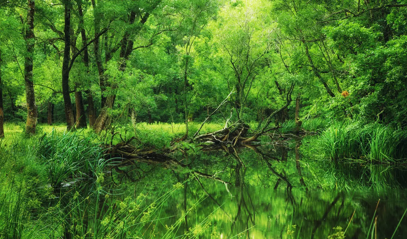 Şile - Ağva - İstanbul Adalar Turu