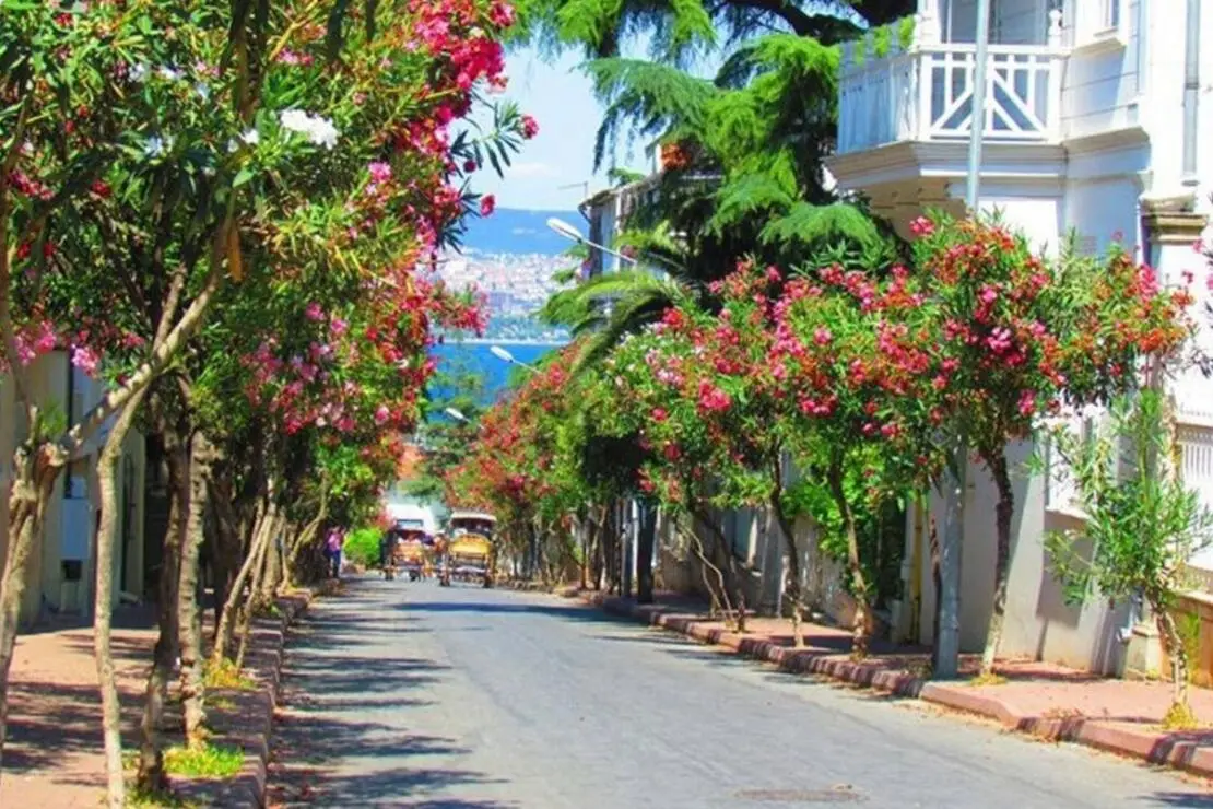 Şile - Ağva - İstanbul Adalar Turu
