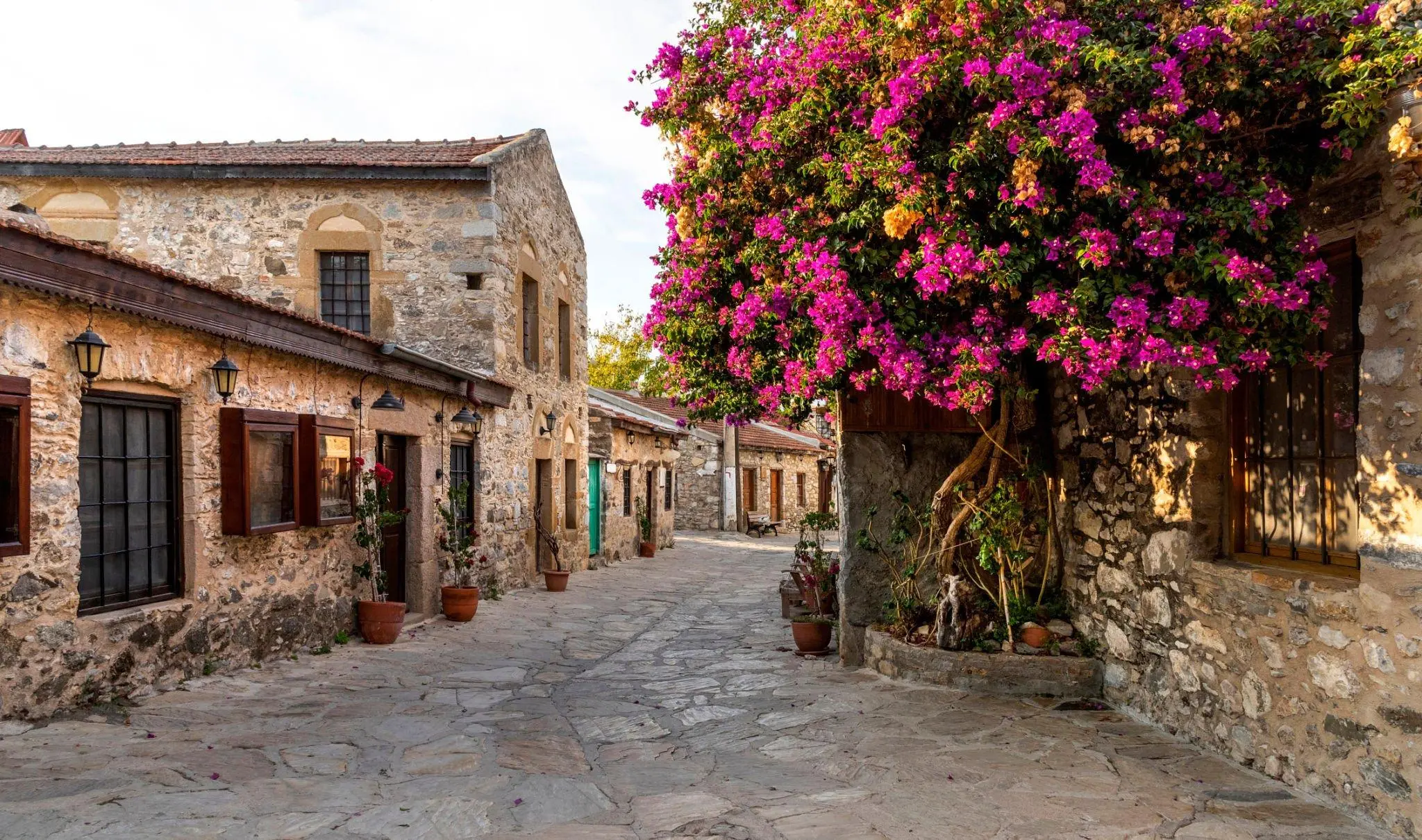 Datça Badem Çiçeği Festivali Turu