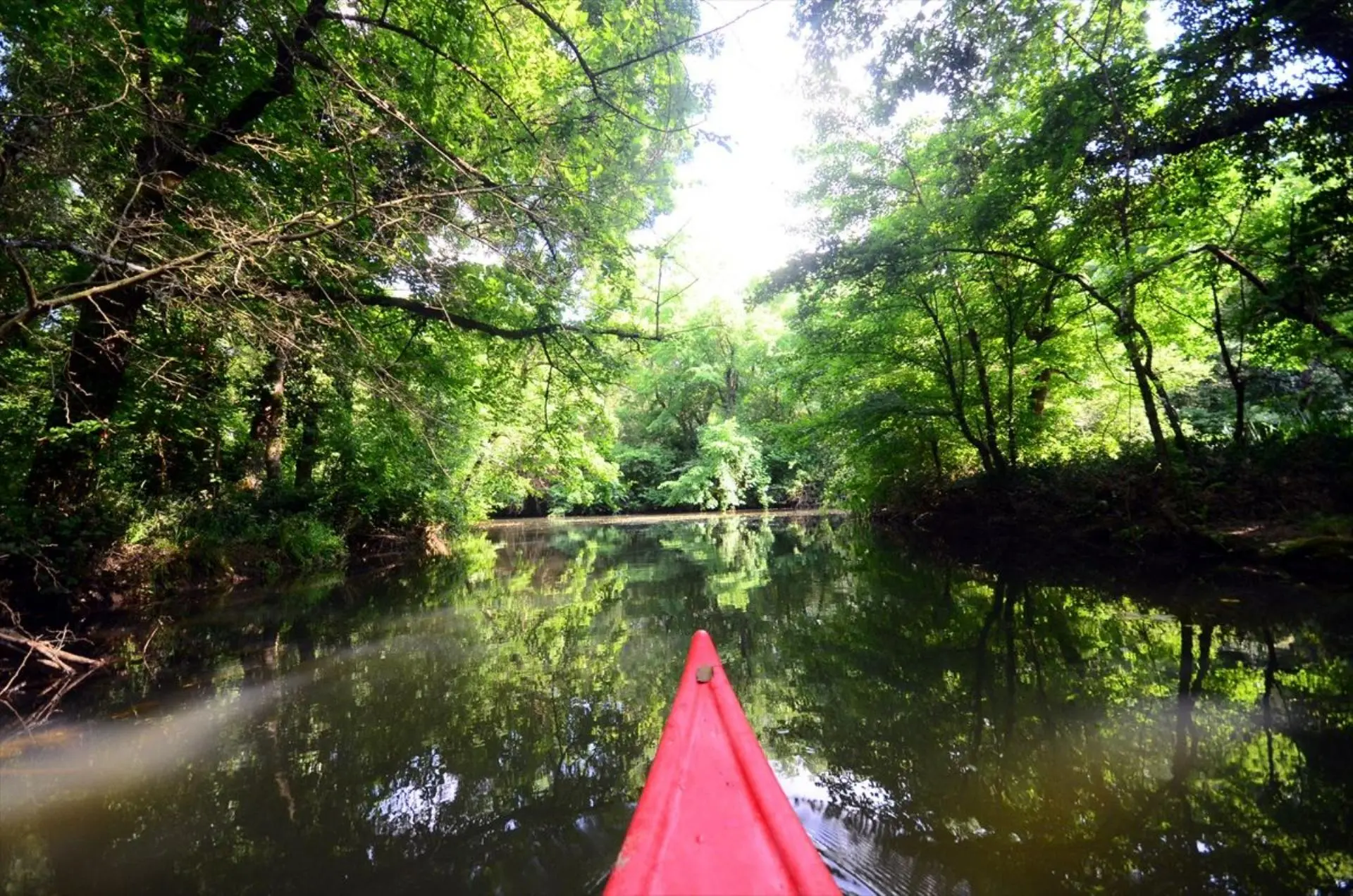 Edirne – Kırklareli – İğneada - Tekirdağ Turu