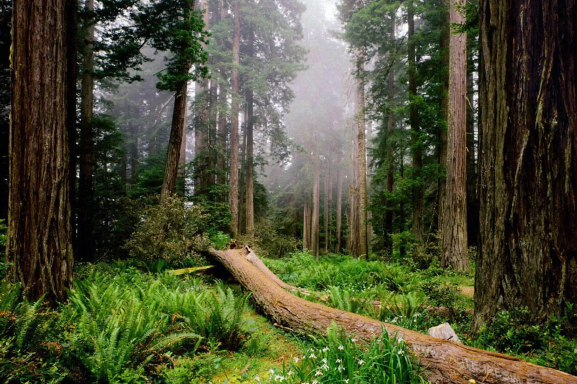 Edirne – Kırklareli – İğneada - Tekirdağ Turu
