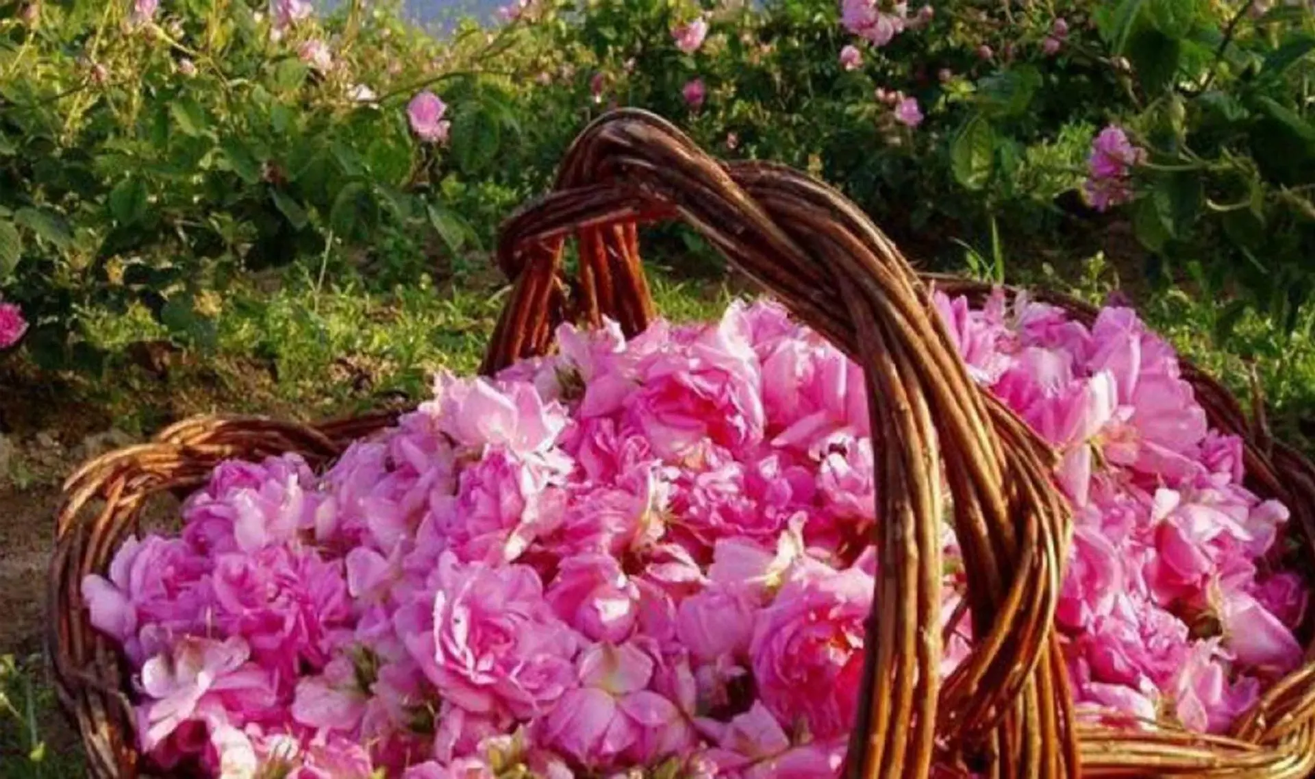 Yazılı Kanyon - Kovada Gölü - Gül Bahçeleri Turu