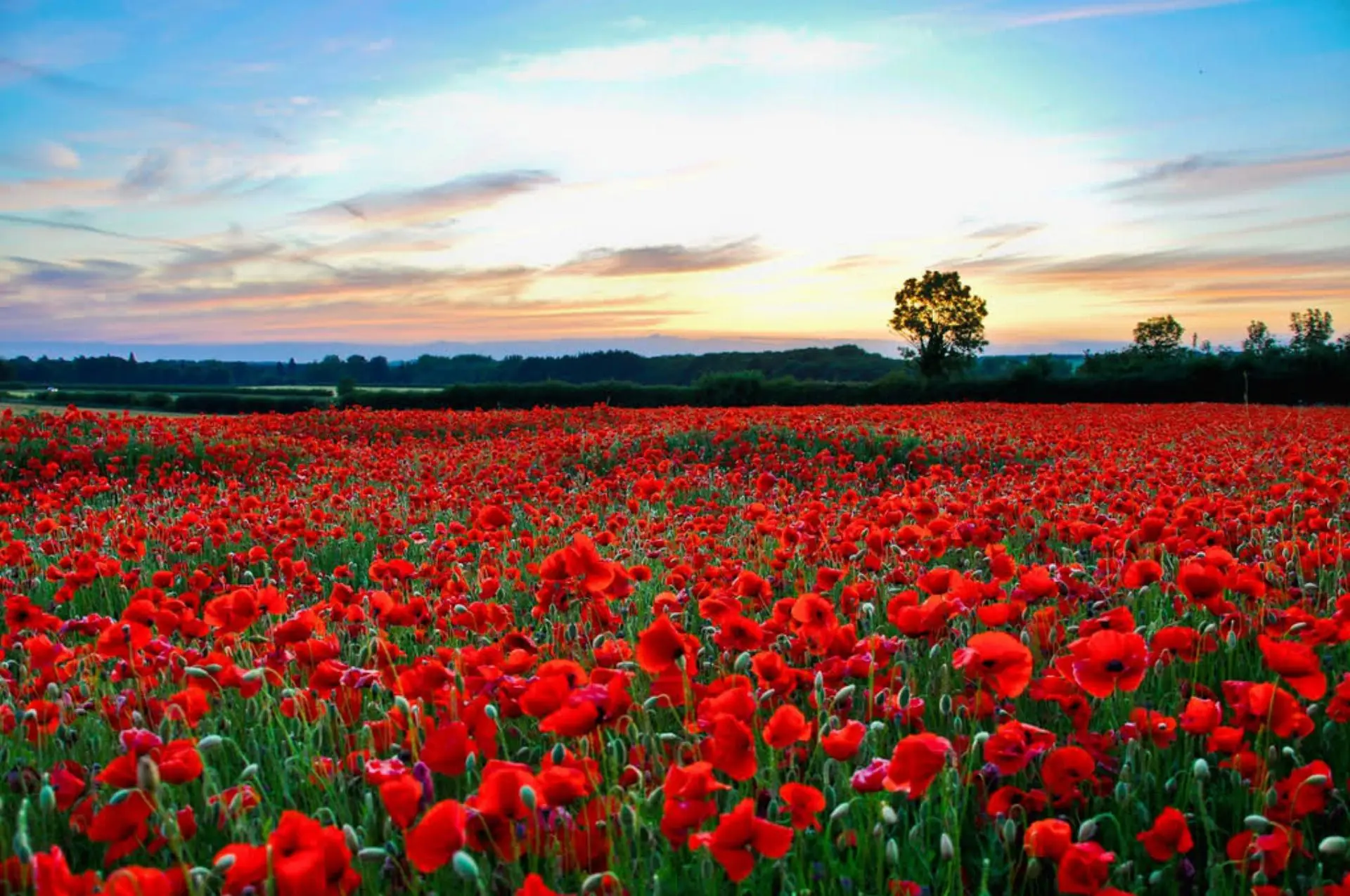 Yazılı Kanyon - Kovada Gölü - Gül Bahçeleri Turu