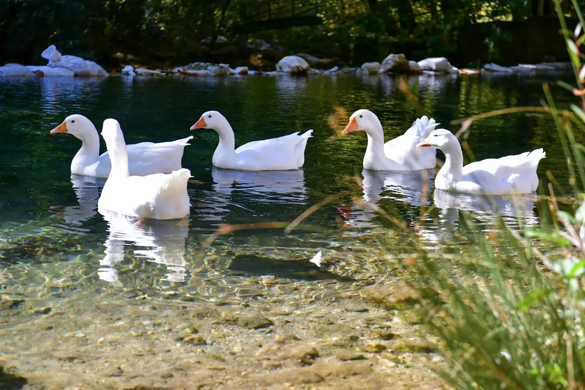 Isparta Lavanta Bahçeleri - Yazılı Kanyon ve Kovada Gölü Turu