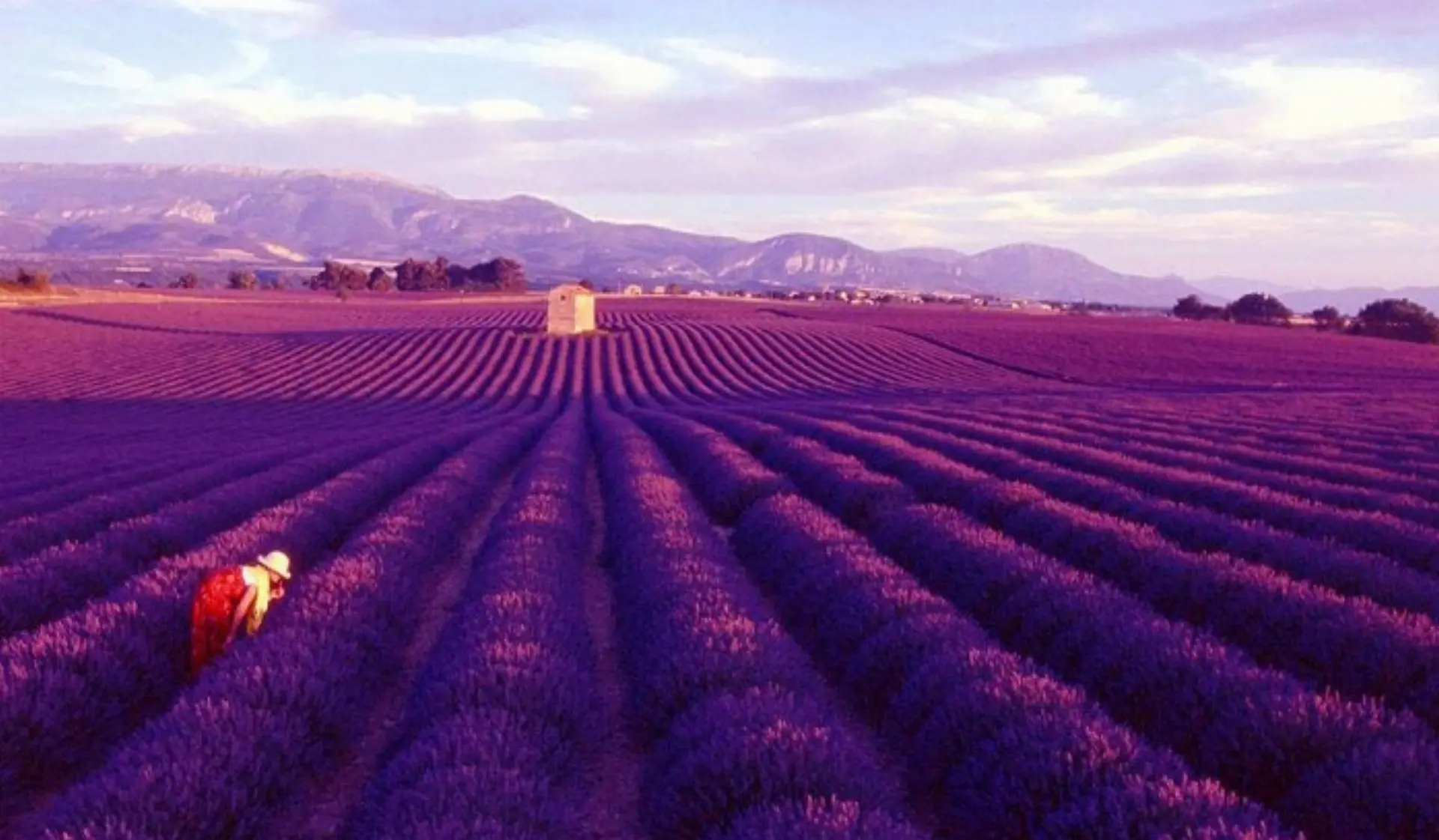 Isparta Lavanta Bahçeleri - Yazılı Kanyon ve Kovada Gölü Turu