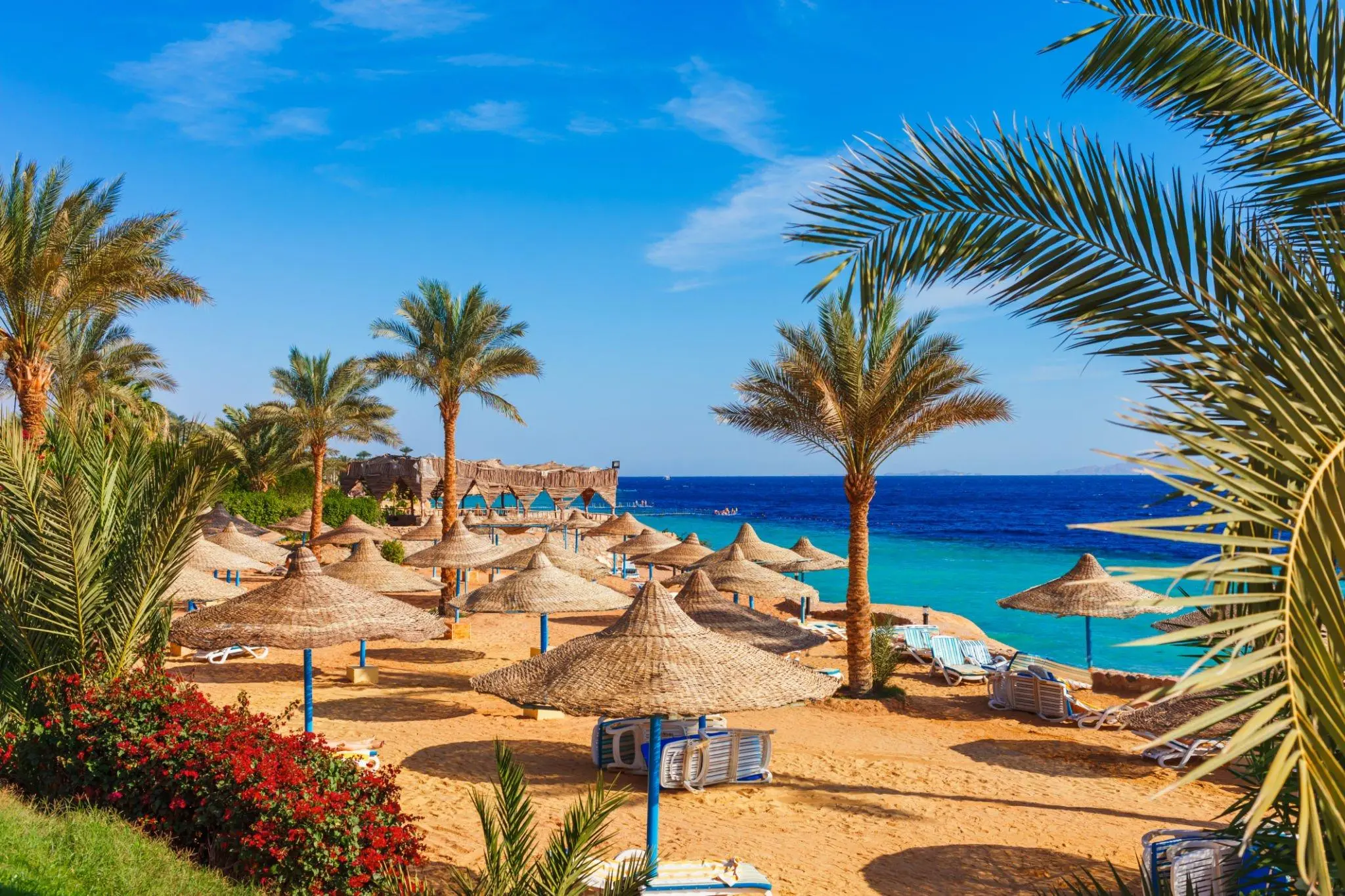 Sharm El Sheikh Turu