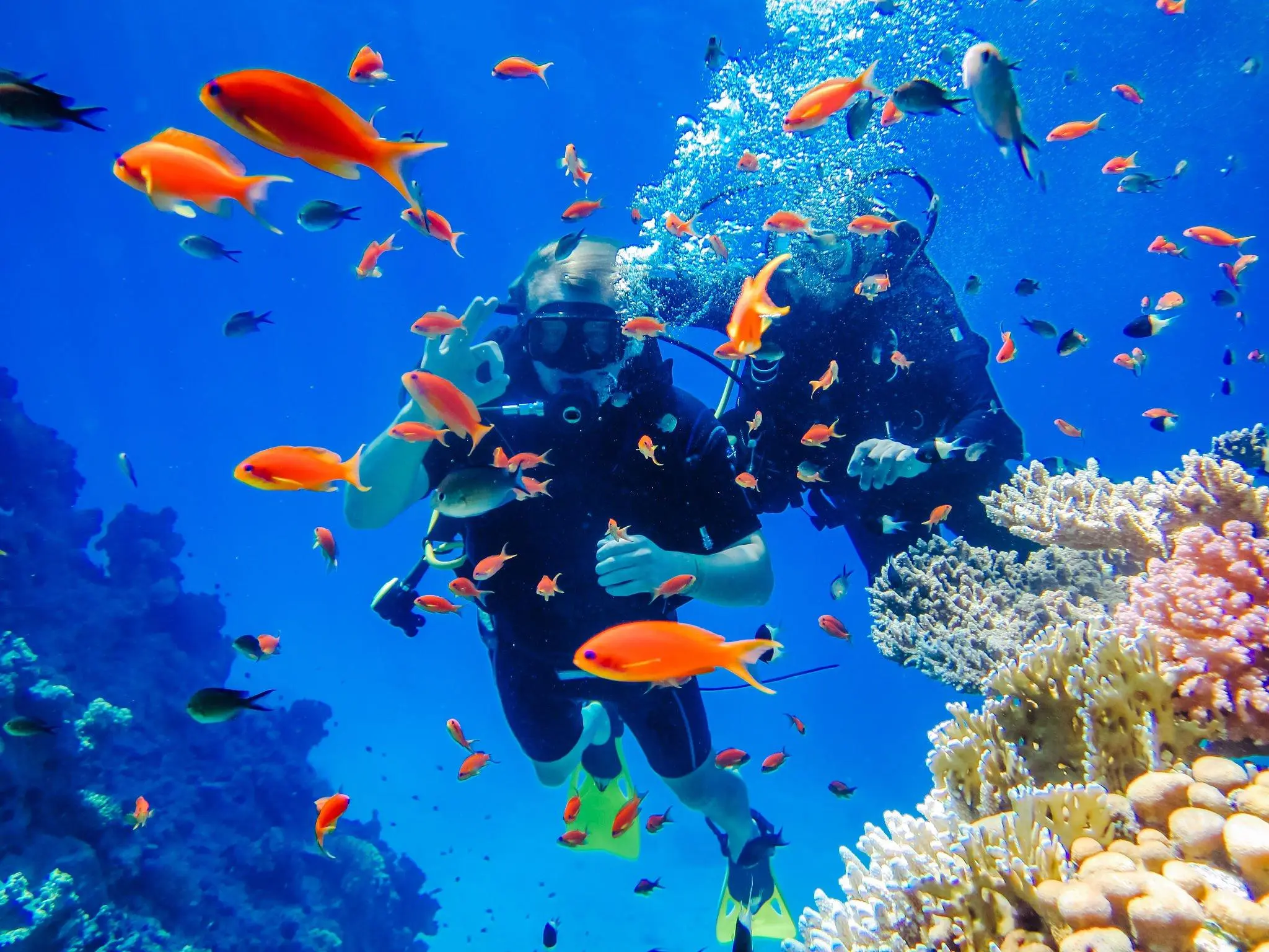 Sharm El Sheikh Turu