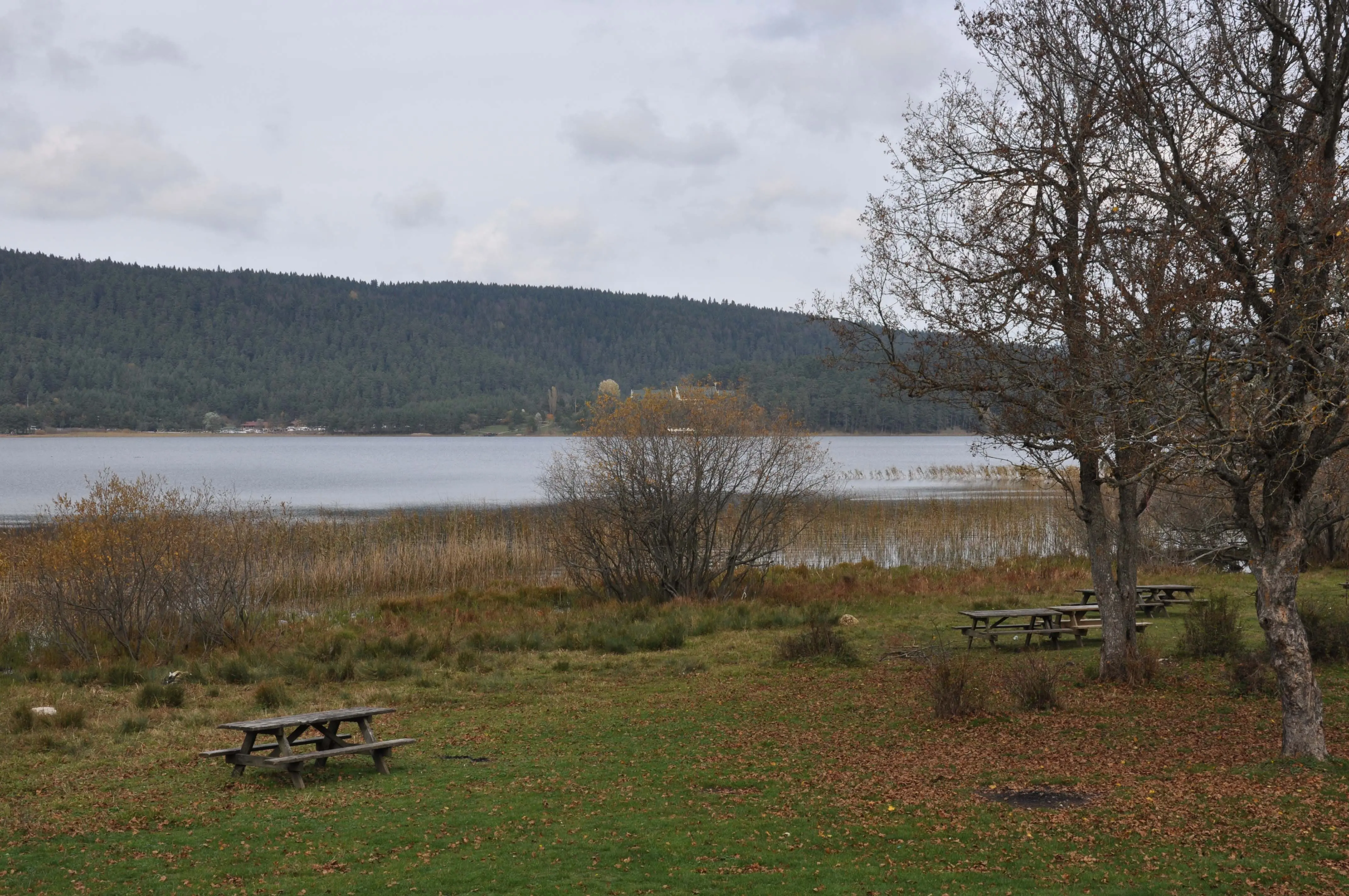 Abant - Gölcük Turu