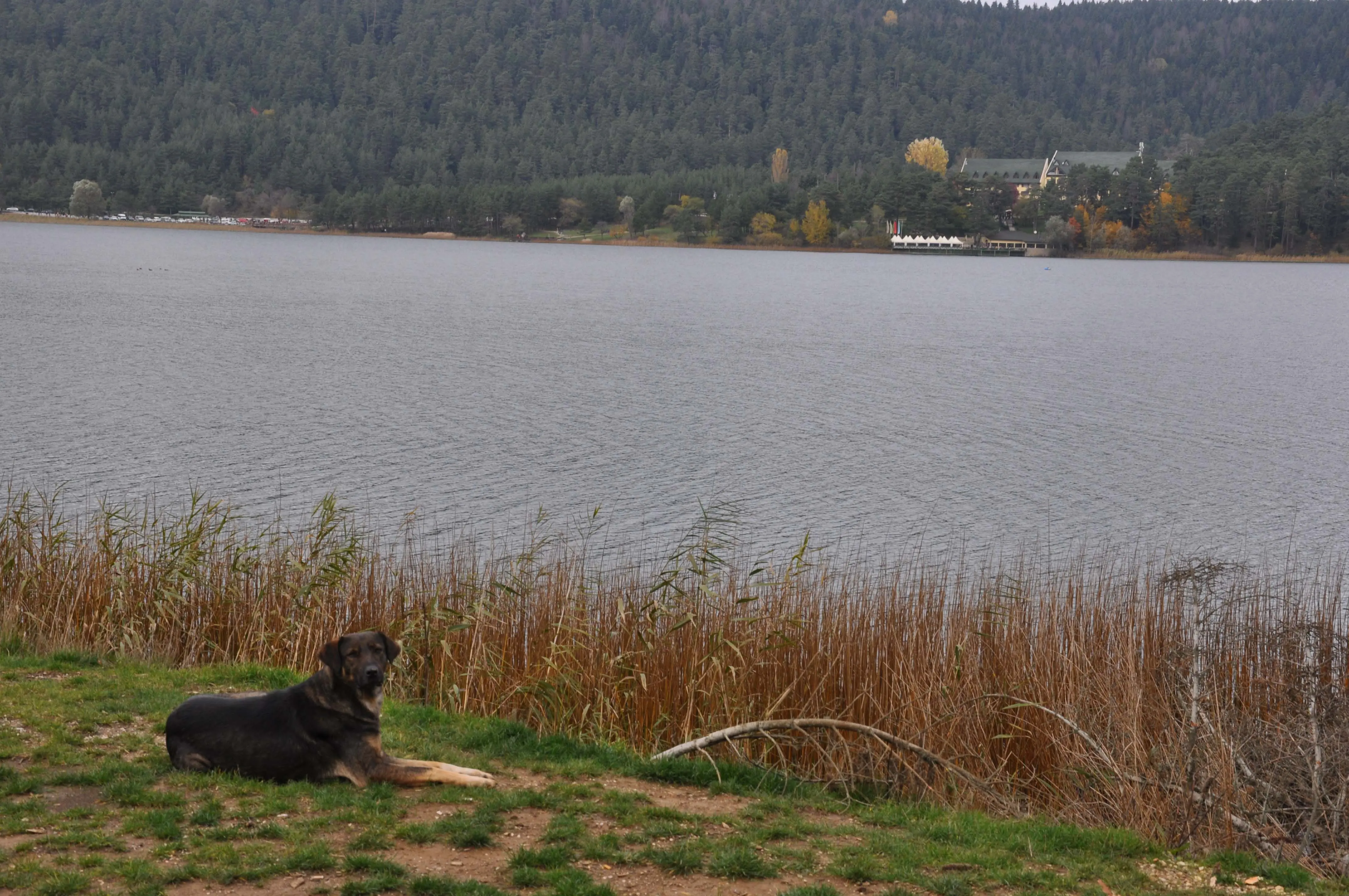 Abant - Gölcük Turu