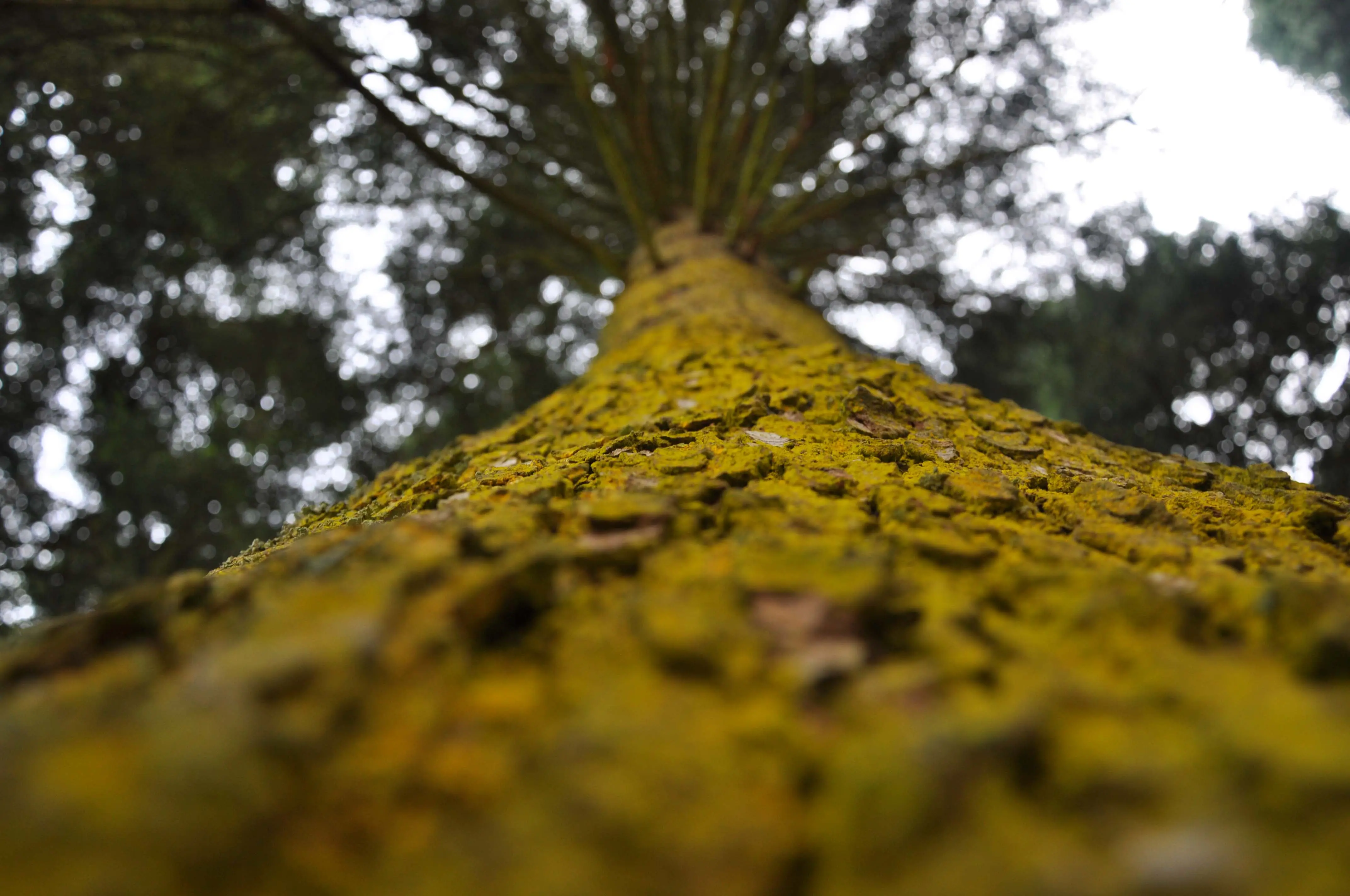 Abant - Gölcük Turu