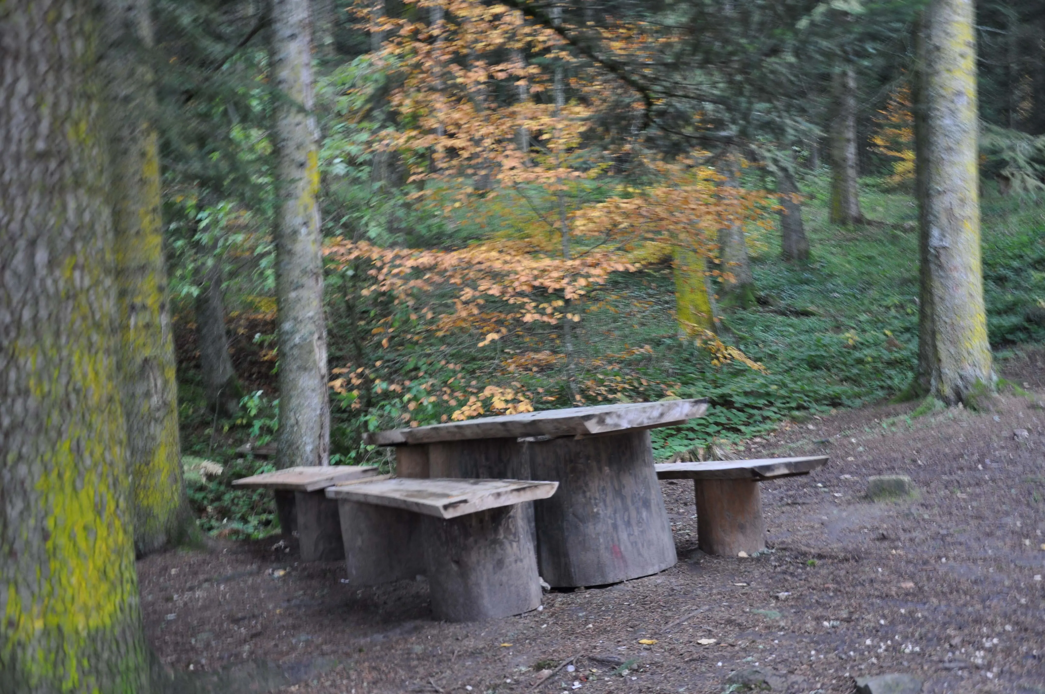 Abant - Gölcük Turu