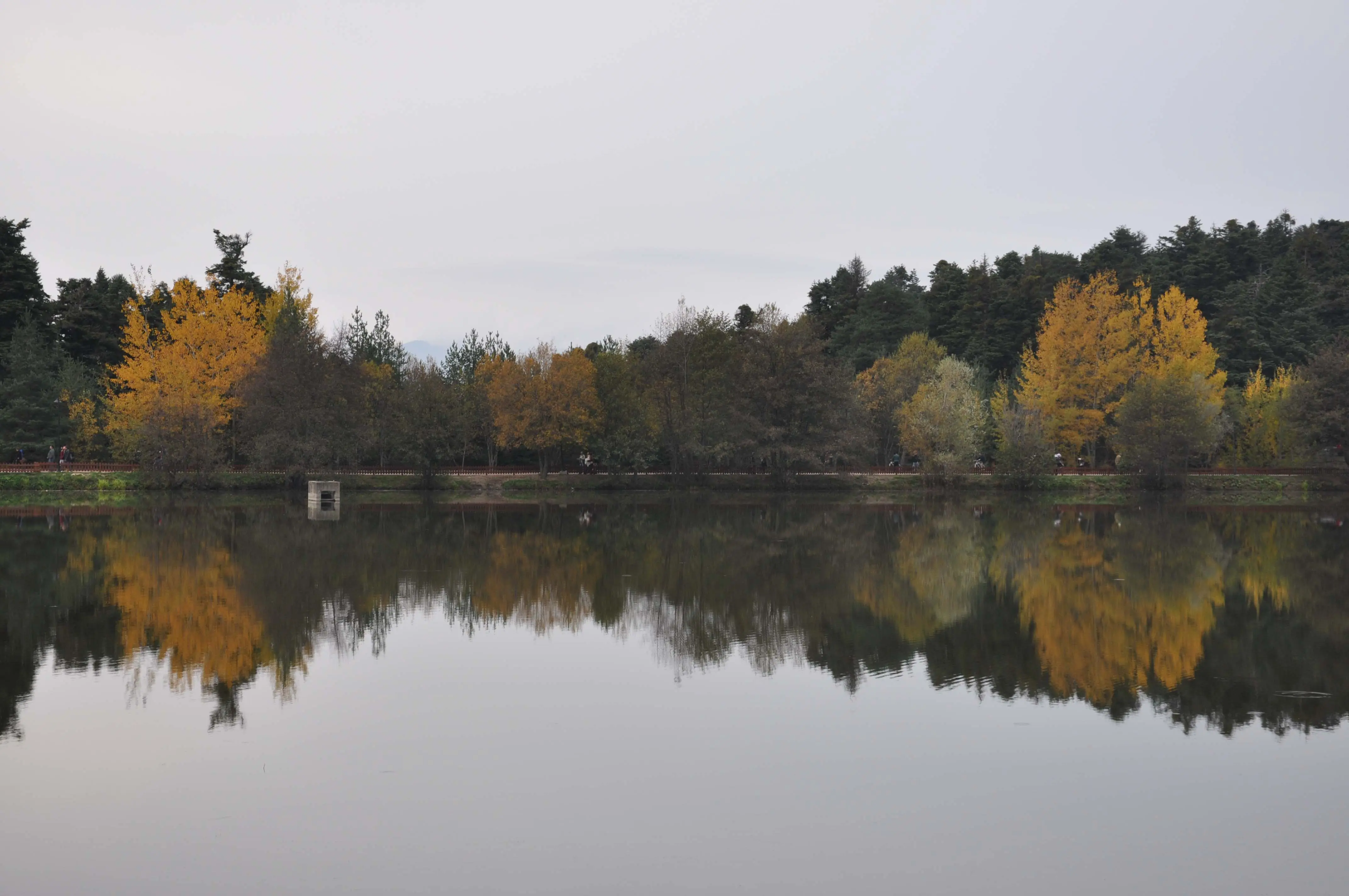 Abant - Gölcük Turu