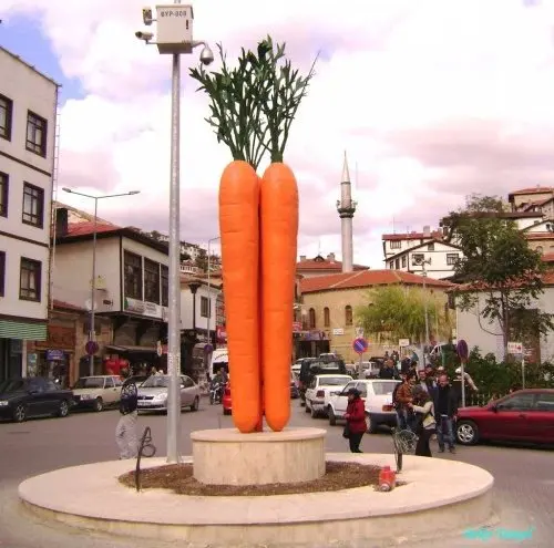 Beypazarı - İnözü Vadisi - Karagöl Turu