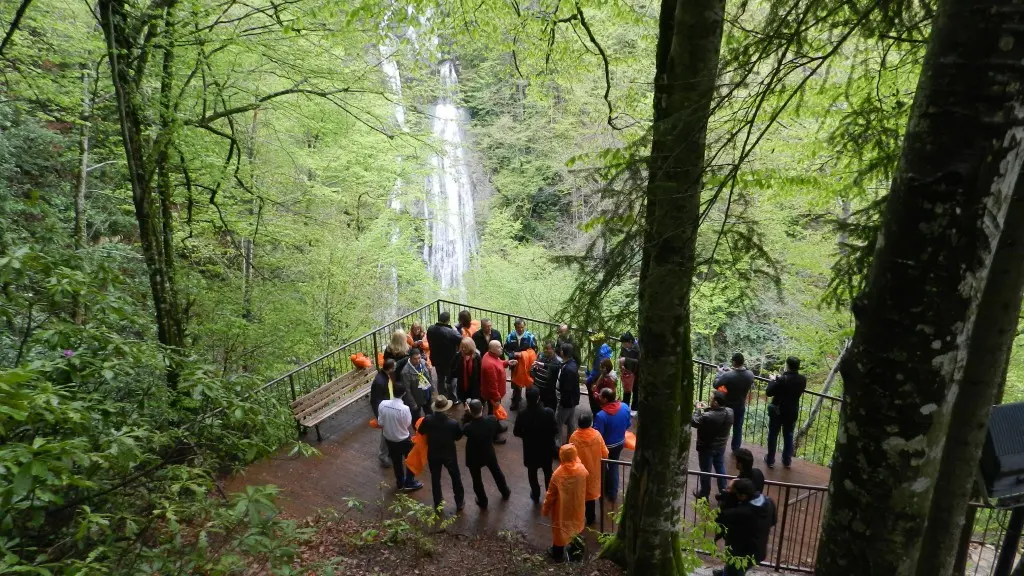 Düzce Şelaleleri Turu