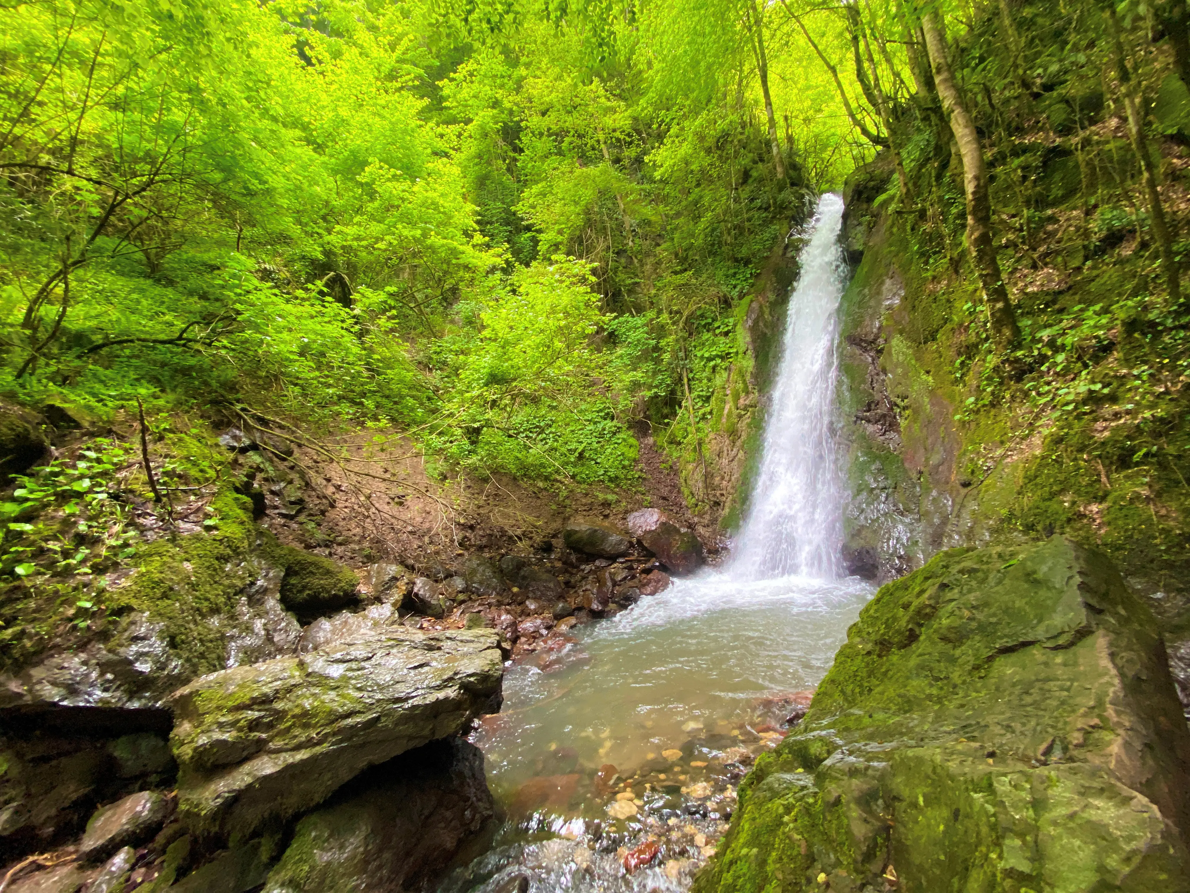 Düzce Şelaleleri Turu