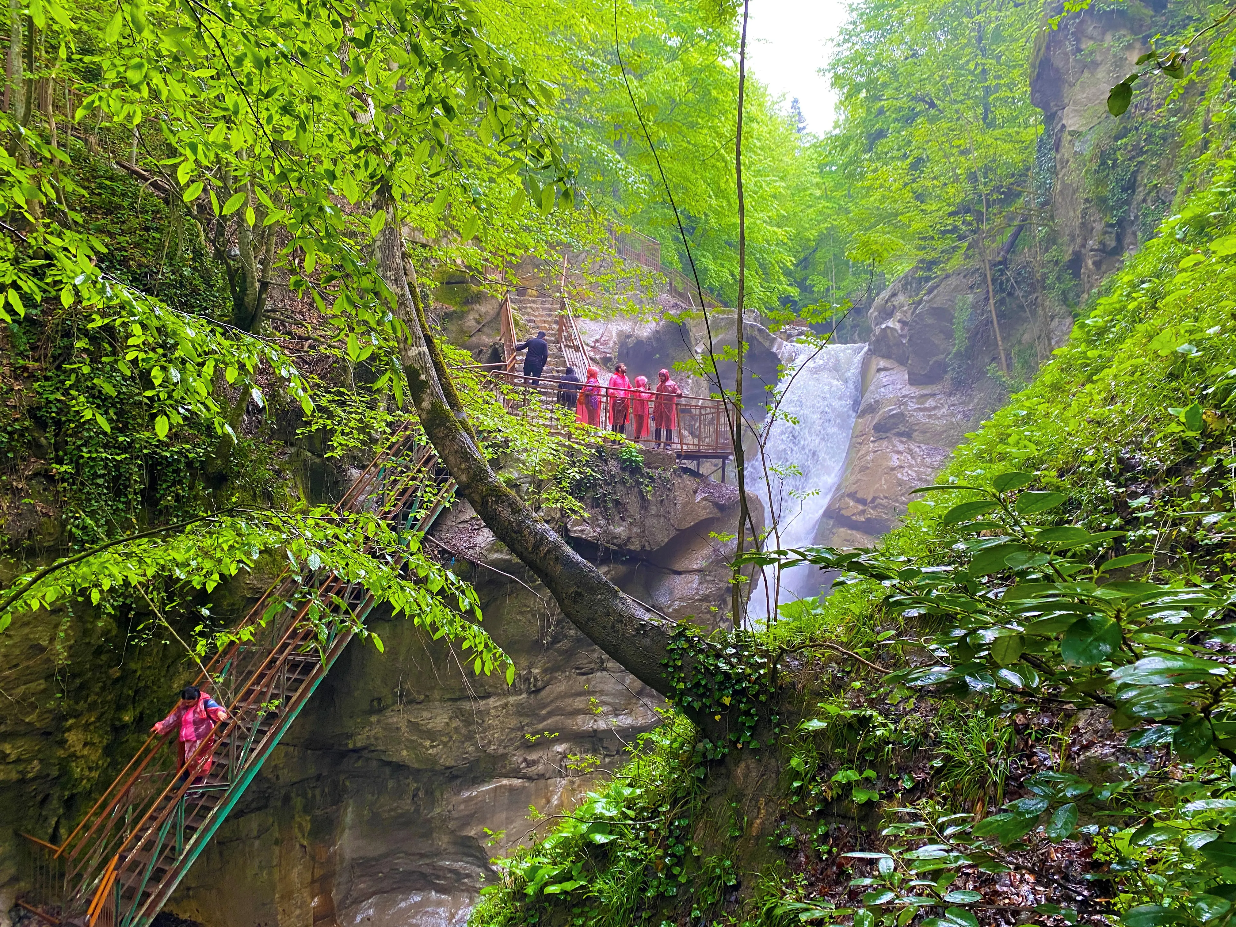 Düzce Şelaleleri Turu